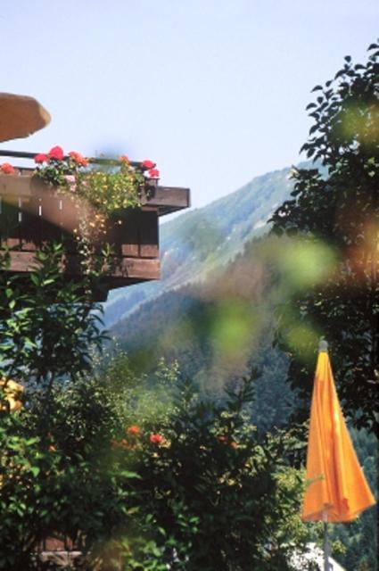 Hotel Adler Garni ヒルシュエック エクステリア 写真